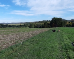 Im Herbst 2019 (10)